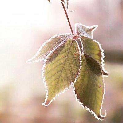 大发棋牌方网址入口截图